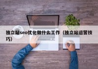 独立站seo优化做什么工作（独立站运营技巧）