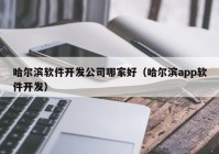哈尔滨软件开发公司哪家好（哈尔滨app软件开发）